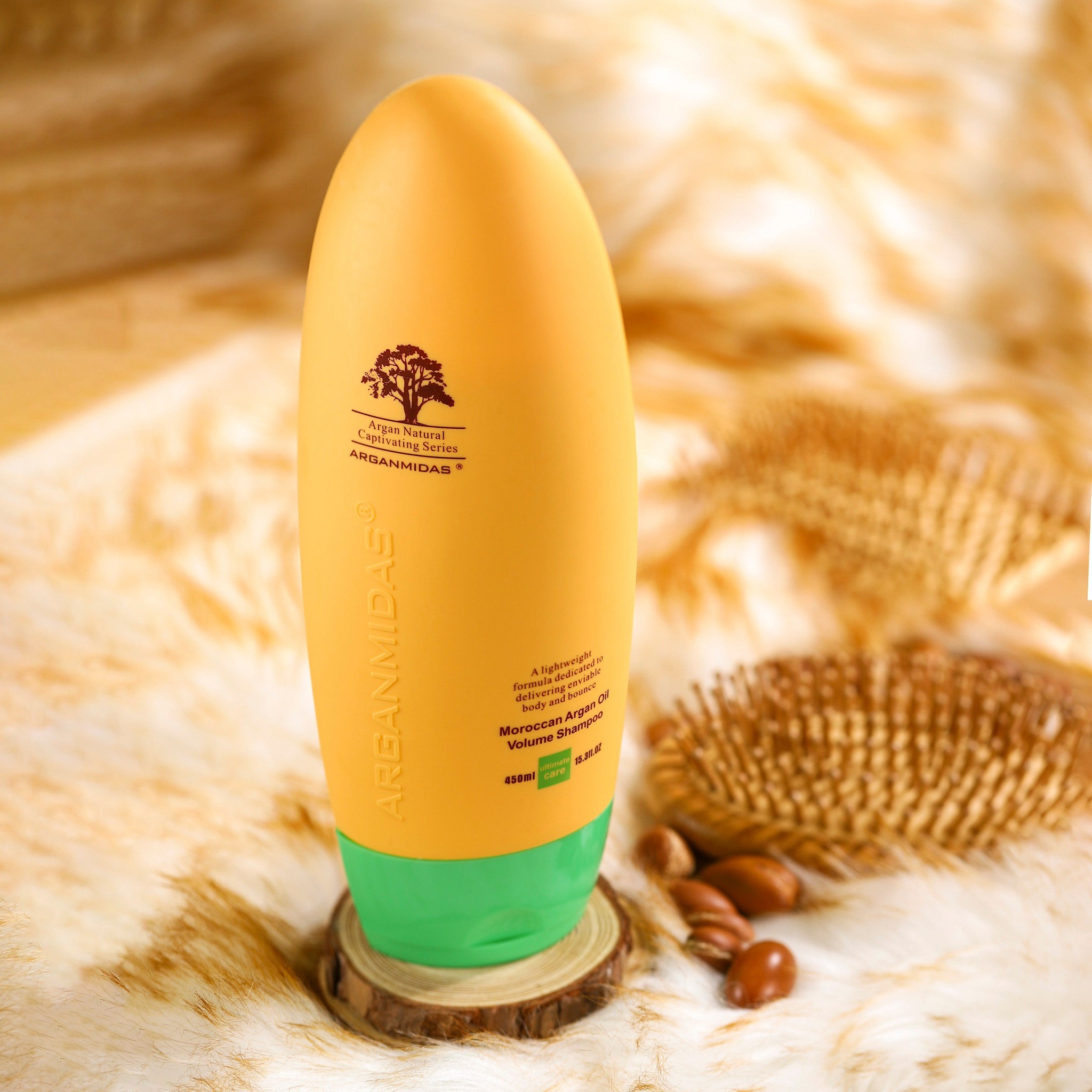 453380668_1255790785811822_1125312129125179770_n